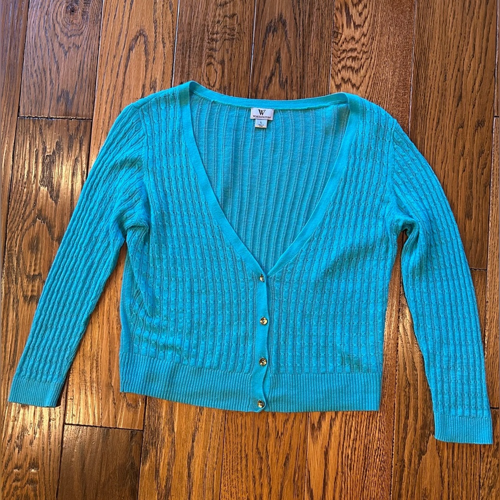 Vintage Worthington Thin Blue Cardigan